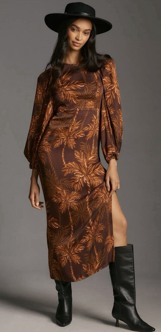Farm Rio x Anthropologie Long Sleeve Low Back Printed Midi Satin Dress Sz XS